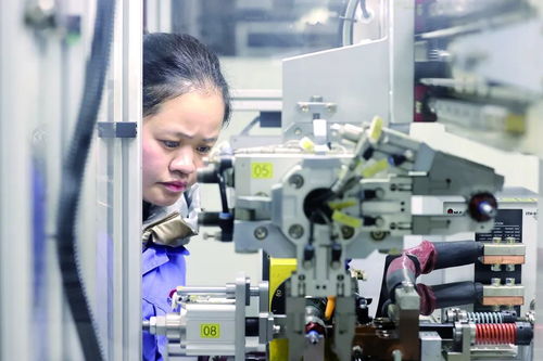 開門紅 諸暨企業(yè)吹響沖鋒號 軟件開發(fā)行業(yè)迎來新機(jī)遇