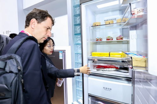 從“AWE后記”看家電企業(yè)數(shù)字化轉(zhuǎn)型 海爾詞典軟件的開(kāi)發(fā)與應(yīng)用